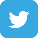 Icona Twitter